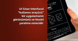 Sahadanbet'in Kullanıcı Arayüzü İncelemesi